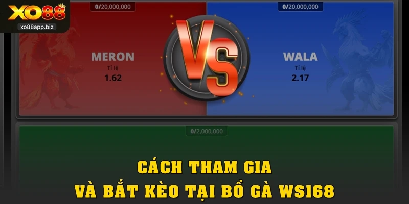 Cách tham gia và bắt kèo tại bồ gà WS168