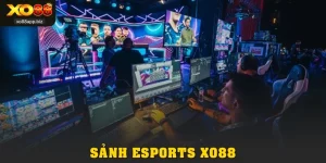 Cá Cược Esports XO88: Sân Chơi Kịch Tính Cho Game Thủ