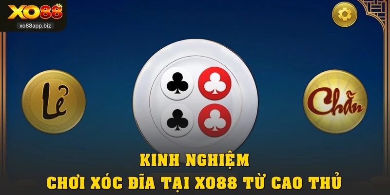 Kinh nghiệm chơi Xóc đĩa tại XO88 từ cao thủ