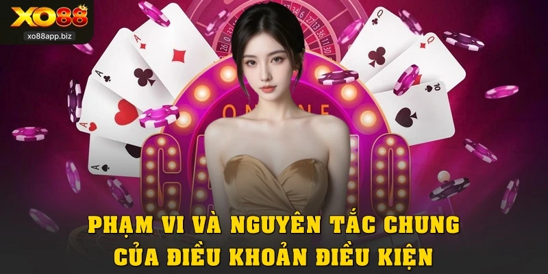 Phạm vi và nguyên tắc chung của điều khoản điều kiện